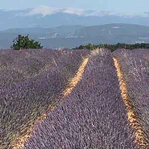 Provence Luberon Location Chez Marcelle Bonnieux